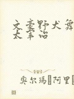 文豪野犬舞台剧太宰治