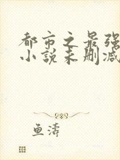 都市之最强狂兵小说未删减版