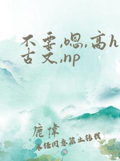 不要,嗯,高h古文,np