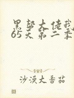 黑帮大佬我的365天第二季电视剧