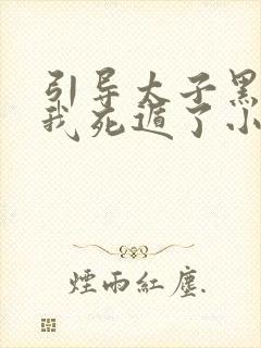 引导太子黑化后我死遁了小说