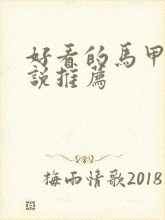 好看的马甲文小说推荐