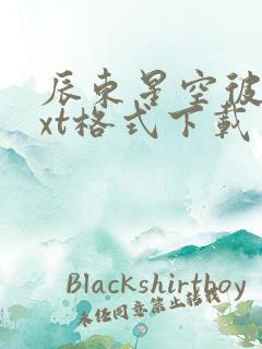 辰东星空彼岸txt格式下载