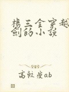 杨三金穿越到亮剑的小说