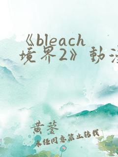 《bleach境界2》动漫免费观看在线观看