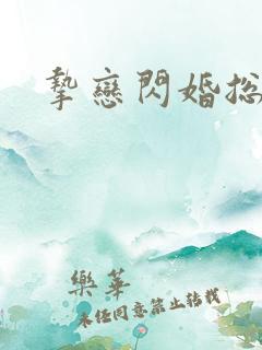 挚恋闪婚总裁欢