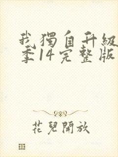 我独自升级第二季14完整版