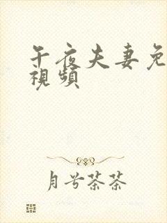 午夜夫妻免费小视频