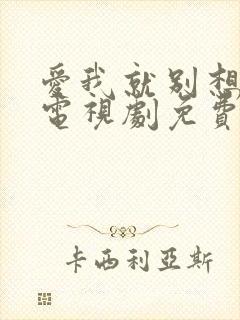 爱我就别想太多电视剧免费观看16集