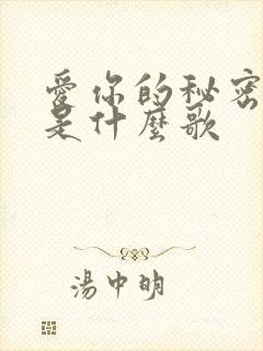 爱你的秘密歌词是什么歌