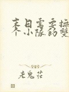 末日需要抚慰整个小队的双男主小说