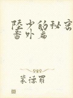 陆少的秘密恋人番外篇