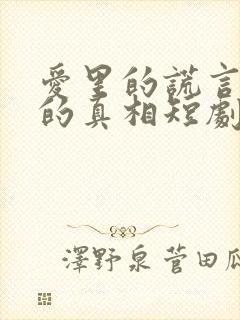 爱里的谎言仇恨的真相短剧全集