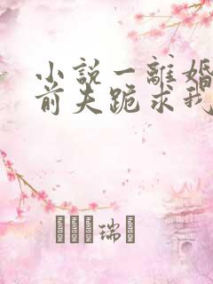 小说一离婚后,前夫跪求我原谅