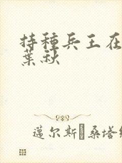持种兵王在乡村叶秋