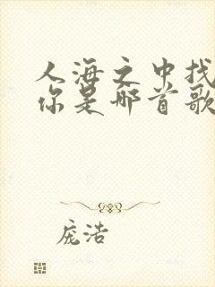 人海之中找到了你是哪首歌的歌词