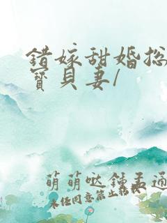 错嫁甜婚总裁的宝贝妻/