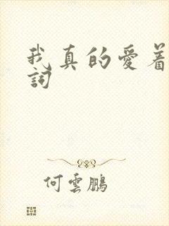 我真的爱着你歌词