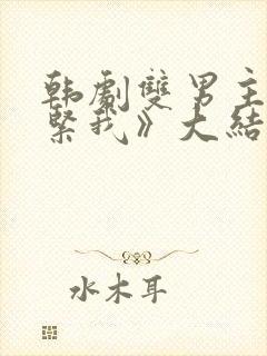 韩剧双男主《抱紧我》大结局