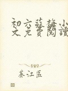 初六苏梅小说全文免费阅读笔趣阁