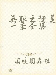 无耻之徒美版第一季全集