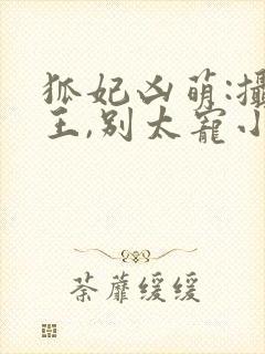 狐妃凶萌:摄政王,别太宠小说