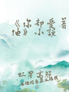 《你却爱着一个他》小说