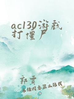 ac130游戏打僵尸