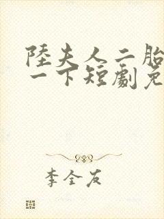 陆夫人二胎了解一下短剧免费观看全集