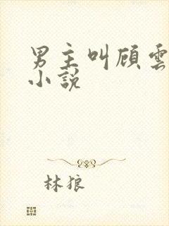 男主叫顾云峥的小说