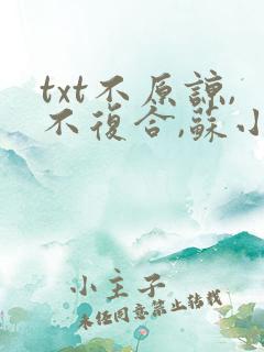txt不原谅,不复合,苏小姐独美下载