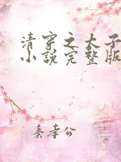 清穿之太子娇妃小说完整版
