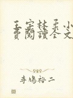 王宇林柔小说免费阅读全文最新章节