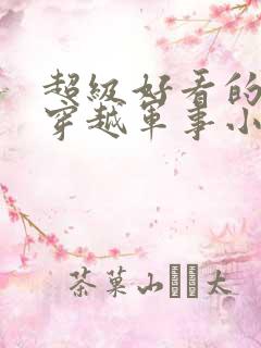 超级好看的民国穿越军事小说