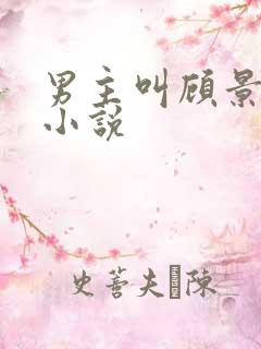 男主叫顾景琰的小说