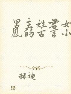 男主姓君女主姓凤的古言小说