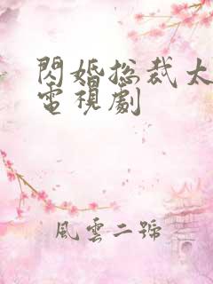 闪婚总裁太霸道电视剧