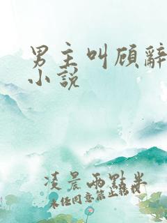 男主叫顾辞舟的小说