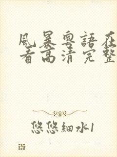 风暴粤语在线观看高清完整版电影