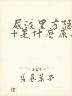 尿液里有隐血3+是什么原因