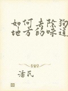 如何去除狗尿过地方的味道