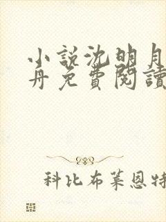 小说沈明月顾远舟免费阅读