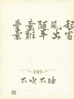 爱意随风起风止意难平出处