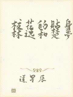 校花的贴身高手林逸和楚梦瑶