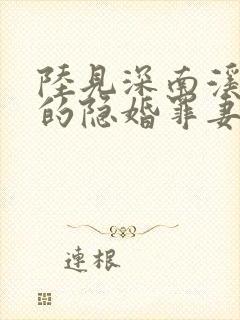 陆见深南溪陆少的隐婚罪妻