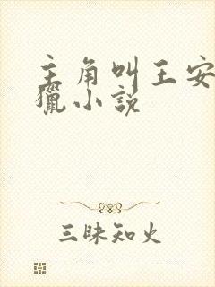 主角叫王安的打猎小说