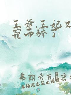 王爷,王妃又恃宠而骄了