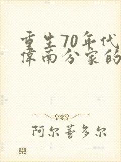 重生70年代陈伟南分家的小说