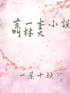 有一本小说主角叫林天