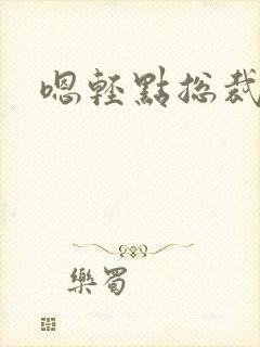 嗯轻点总裁小说